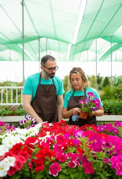 Two growers inspecting a tray of flowers