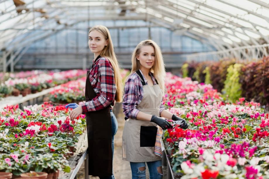 Two growers standing between rows of flowers