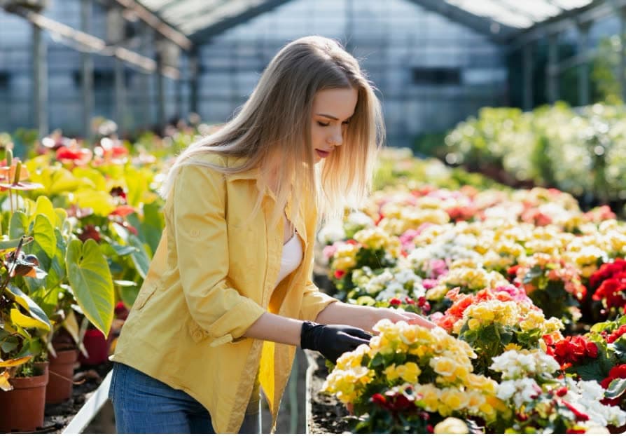 A grower in a yellow jacket tending rows of flowers