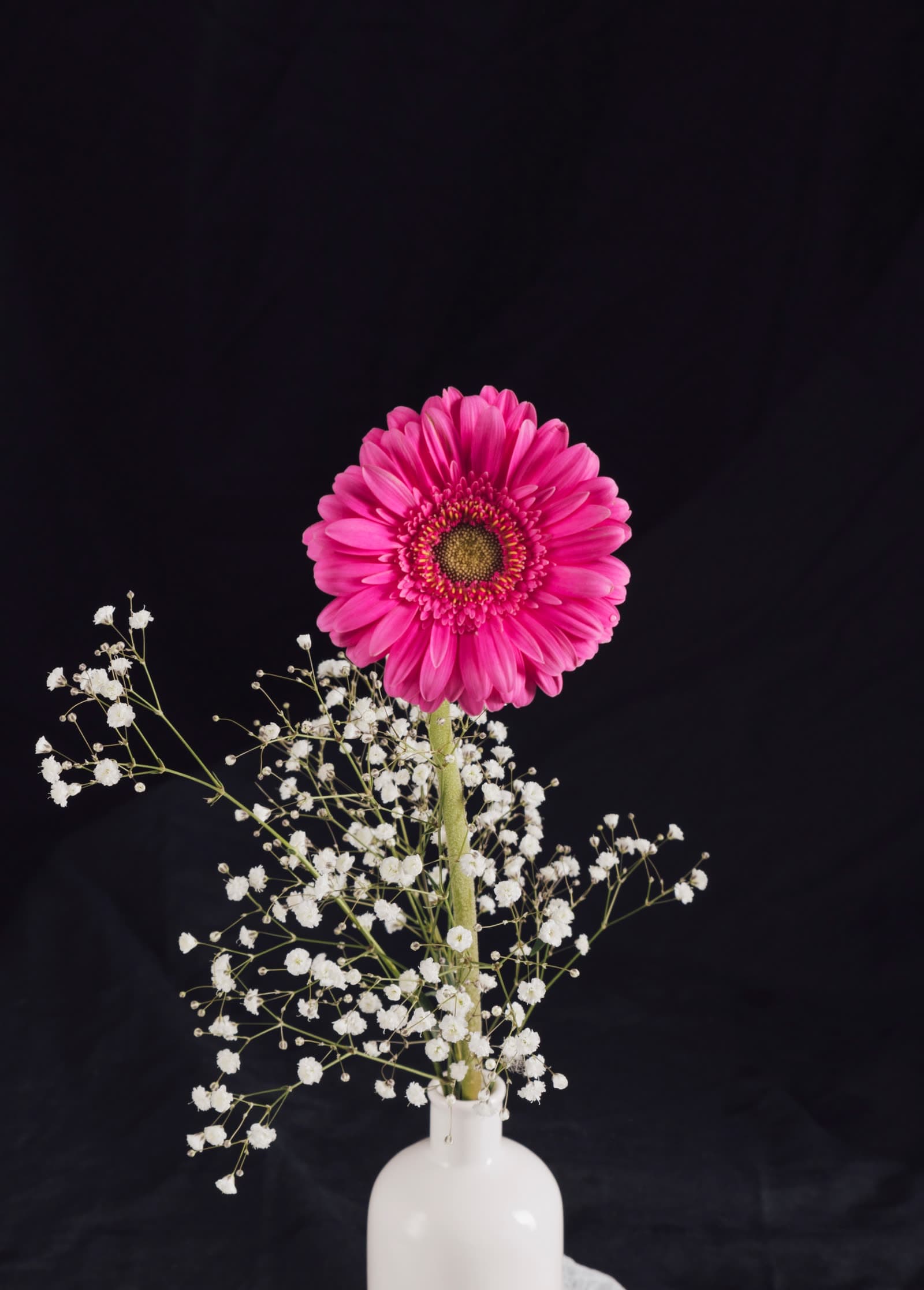 A pink gerbera in a small white vase